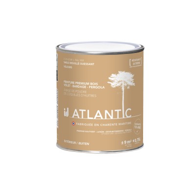 PEINTURE BOIS EXTERIEURS 750ML - ATLANTIC
