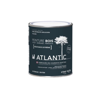 PEINTURE BOIS EXTERIEURS 750ML - ATLANTIC