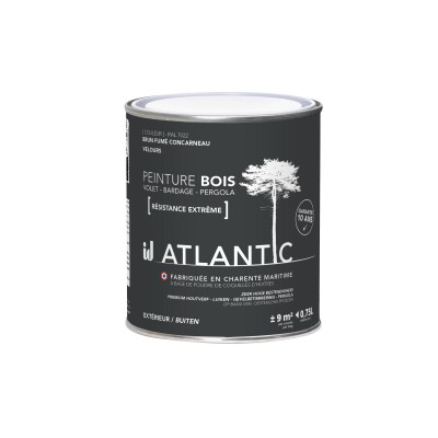 PEINTURE BOIS EXTERIEURS 750ML - ATLANTIC
