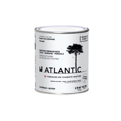 PEINTURE BOIS EXTERIEURS 750ML - ATLANTIC